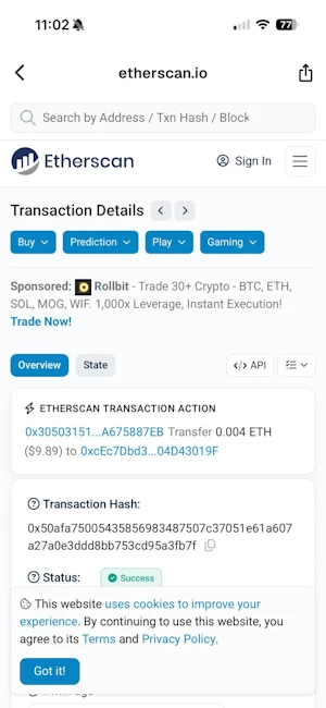 Etherscan receipt independently confirming the successful 0.004 ETH MetaWin transfer.