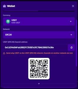 Desktop screen capture auditing a real-money custodial ERC-20 Tether deposit gateway, invoice QR code, and address verification screen inside the BiggerZ cashier interface.