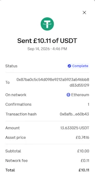 Custodial wallet transaction complete screen showing a successful outbound transfer of Tether USDT to the casino wallet address