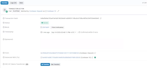 Public block explorer ledger receipt confirming successful on-chain processing of the USDT transaction to the Duelbits destination address